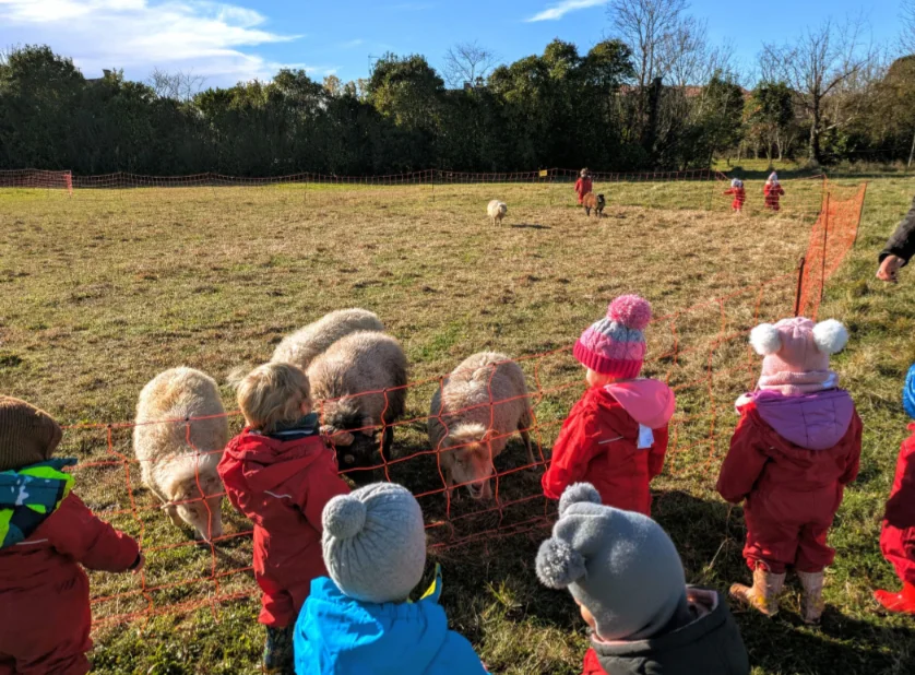 Si vede il gruppo dei bambini del SED La Tribù dei Cuccioli osservare un gruppo di pecore al pascolo.